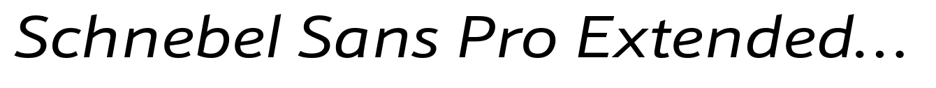 Schnebel Sans Pro Extended Italic